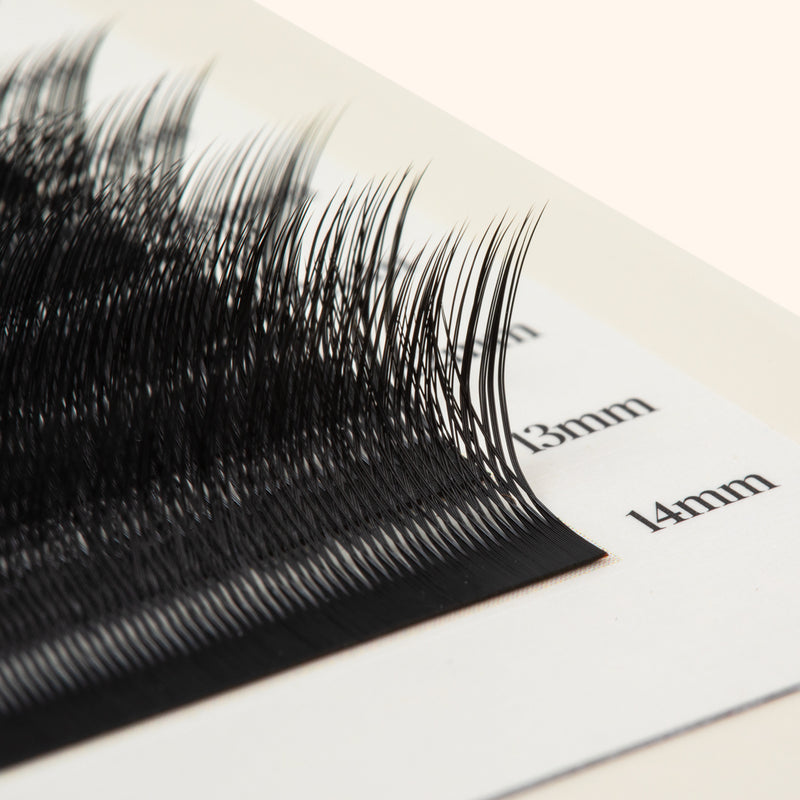 Kitten Lashes - Black