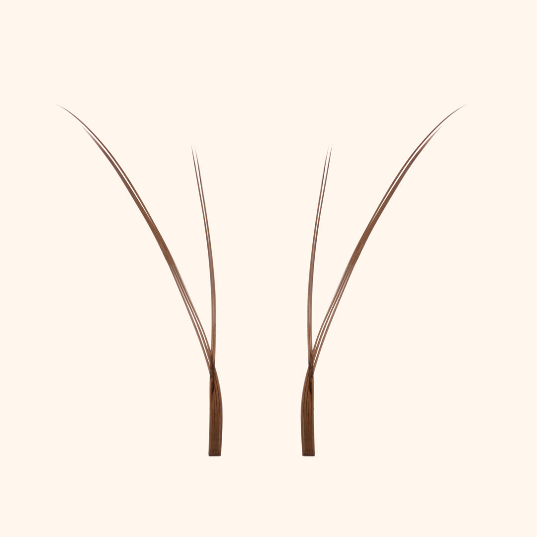 Kätzchenwimpern - Braun